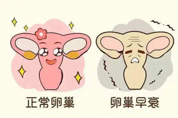 引起卵巢早衰的元兇竟然是日常不起眼的小事！