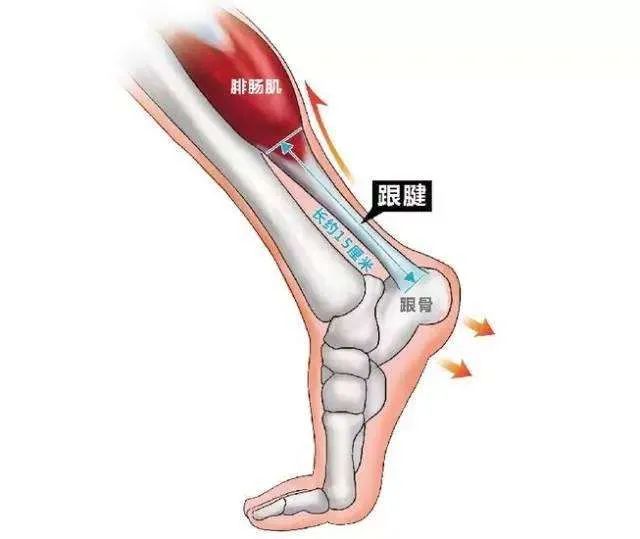 風(fēng)濕類疾病你了解多少？