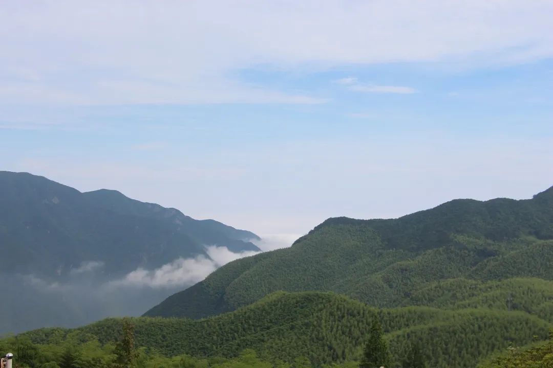 不要因為“養(yǎng)生”焦慮（上）