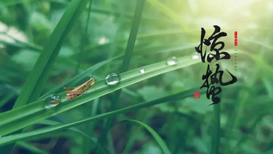 驚蟄丨萬物復蘇，養(yǎng)生好時節(jié)