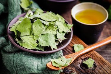 荷葉和玉米須可以一起泡水喝？當(dāng)然了！