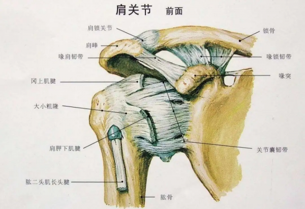 給愛打麻將的人一個養(yǎng)生理由：適度搓麻，延緩認知衰退！