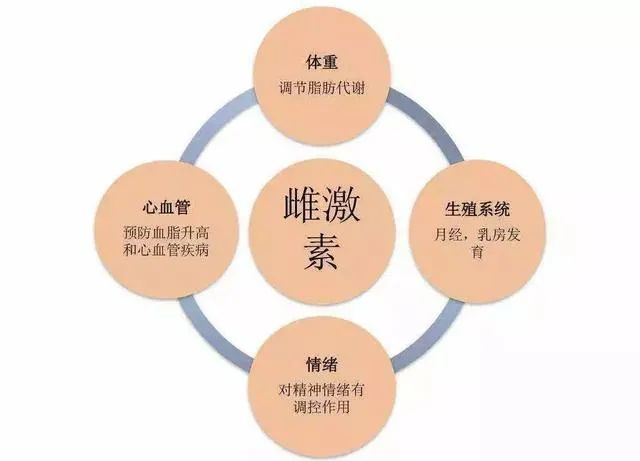女孩們，答應我這個器官一定要保護好