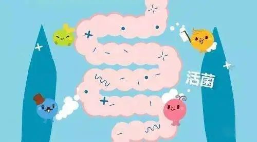 益生菌可治便秘、腹瀉，提高免疫力？