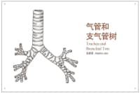 喉嚨里總有痰，痰多還吐不完？可能是這里出了問題，別不當回事！