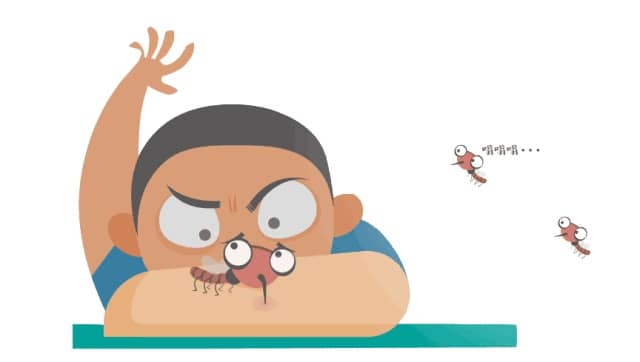 蚊子為啥總叮你？學(xué)會(huì)這招，夏天不再怕蚊子咬了？