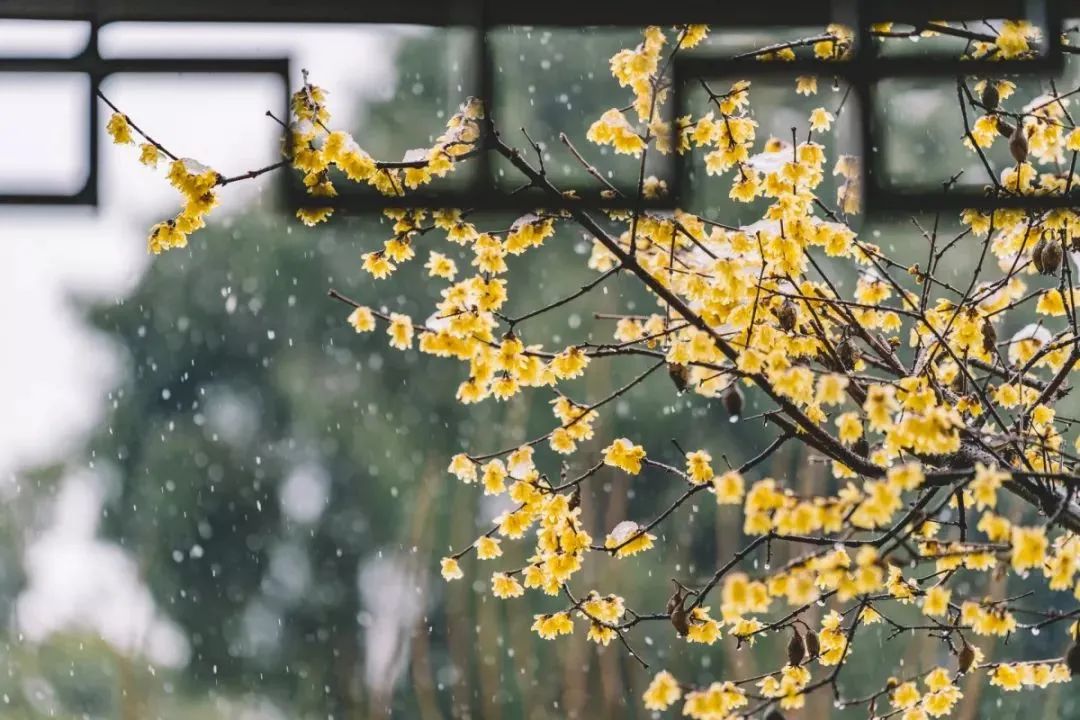 小寒，全年最冷的節(jié)氣！中醫(yī)教你正確調(diào)養(yǎng)身體