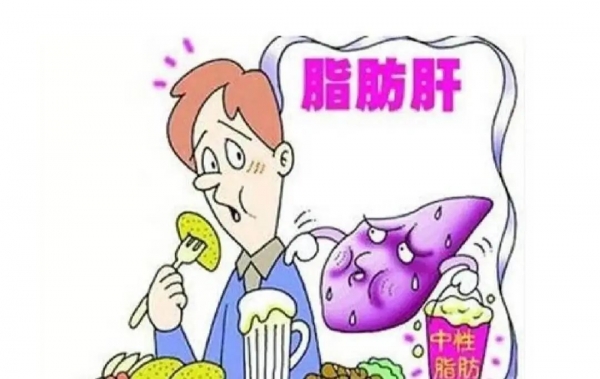 體檢查出輕度脂肪肝？想要逆轉(zhuǎn)需要做到這幾點