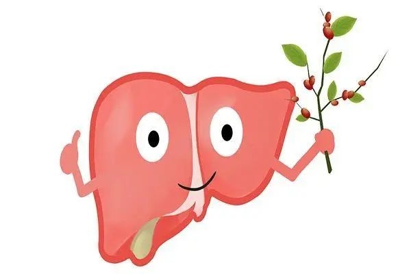 肝不好容易顯老！改掉這4個(gè)壞習(xí)慣，養(yǎng)肝=養(yǎng)命