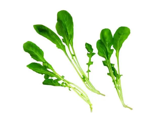 野菜嘗鮮季，這些抗癌“潛力股”您吃對(duì)了嗎？